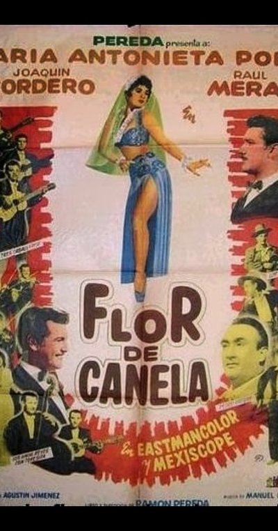 Flor de canela Poster