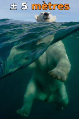 ± 5 Meters From the Surface of the Oceans