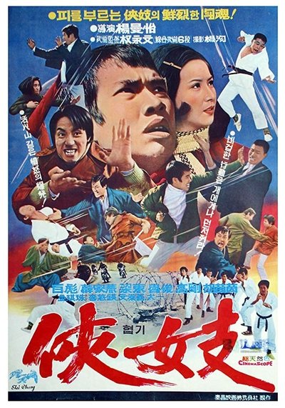 Action Tae Kwon Do Poster