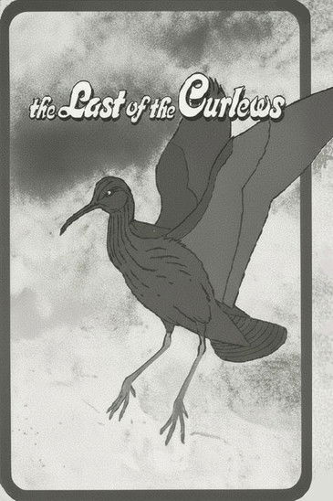 The Last of the Curlews