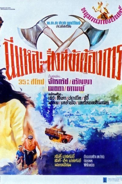 This Is It... What I Need! Poster