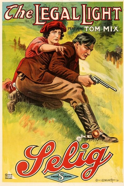 The Legal Light Poster