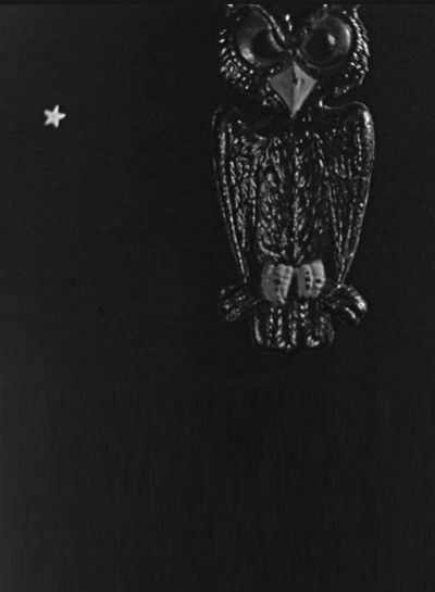 The Spider and the Fly