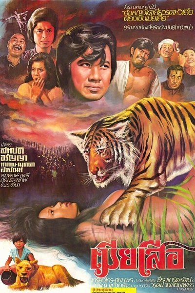 Tiger Wife Poster