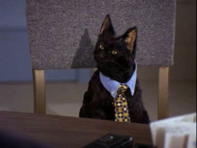 El gran error poster