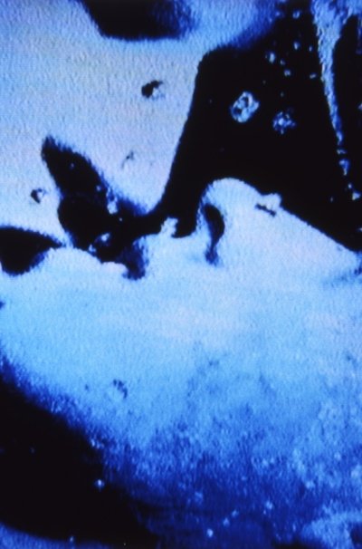 Self-Portrait in 23 Rounds: a Chapter in David Wojnarowicz’s Life, 1989–1991 Poster
