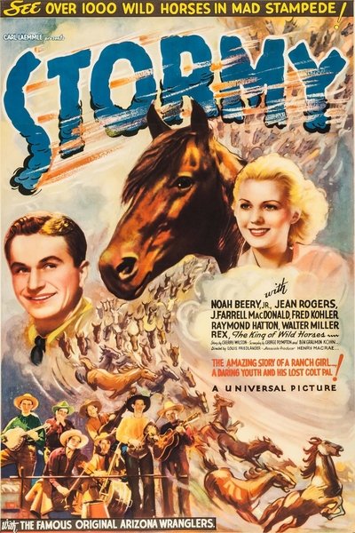 Stormy Poster