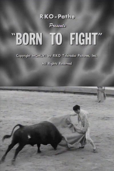 Born to Fight