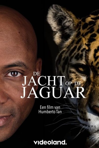 De Jacht op de Jaguar Poster