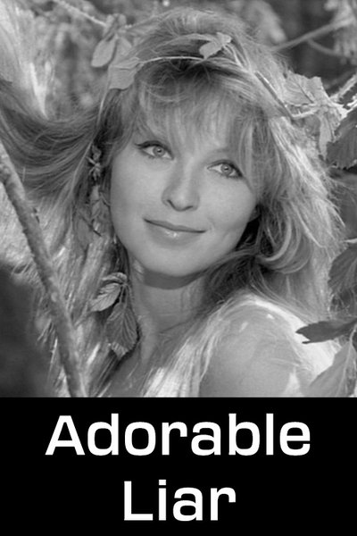 Adorable Liar Poster