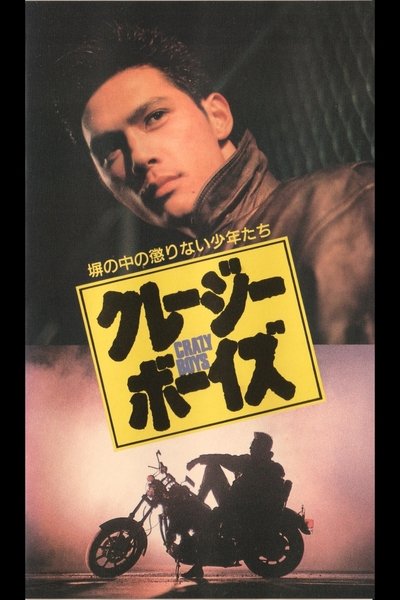 Crazy Boys Poster