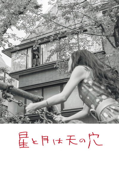 The Stars and the Moon are Holes in the Sky