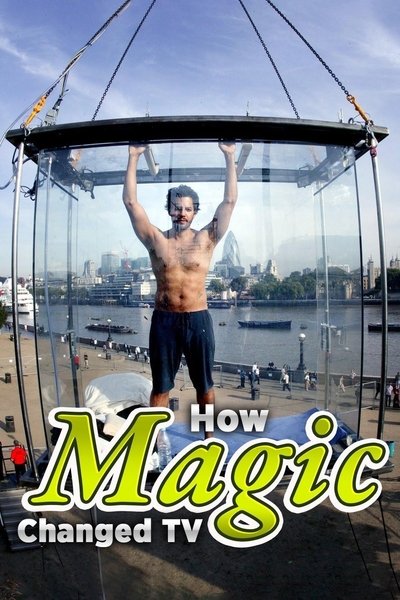 How Magic Changed TV Poster