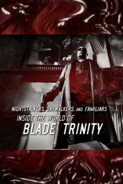 Nightstalkers, Daywalkers, and Familiars: Inside the World of 'Blade: Trinity' Poster