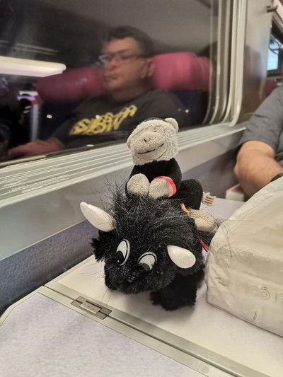 El monito se fue de viaje