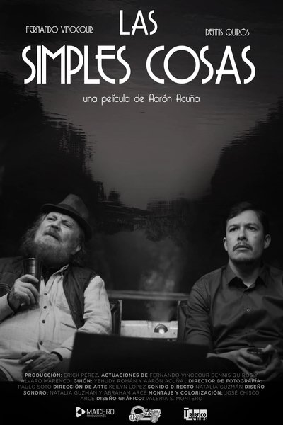 Las simples cosas Poster