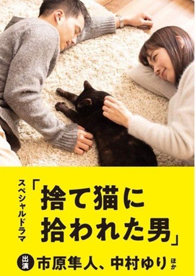The Man Who Got Picked Up by a Stray Cat Poster