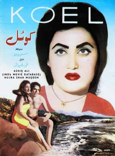 Koel Poster