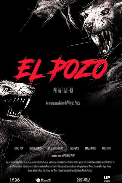 El pozo Poster