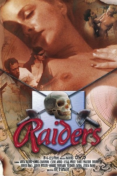 Raiders Poster