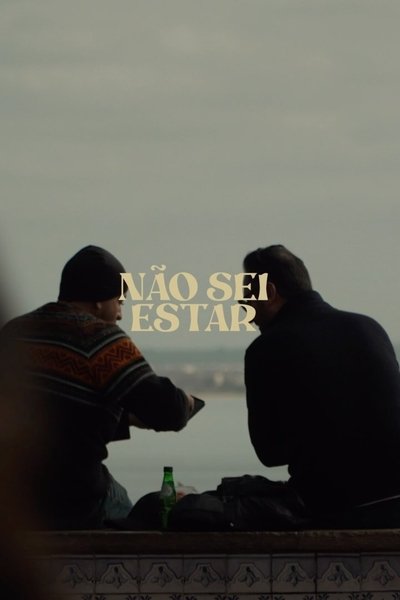 Não Sei Estar