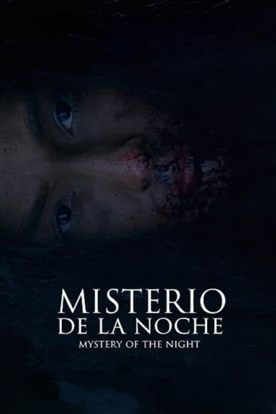 Mystery of the Night Poster