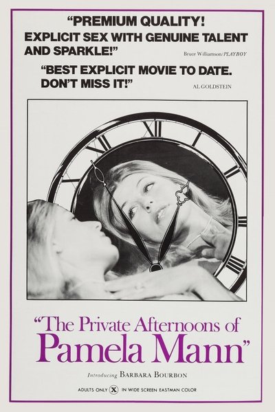 The Private Afternoons of Pamela Mann Poster