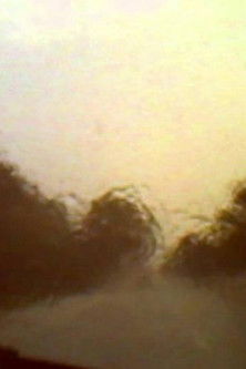 Venezia 70 - Future Reloaded, Apichatpong Weerasethakul