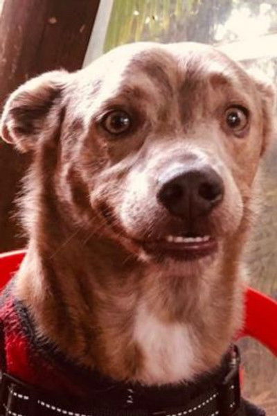 Morfeu Ender de Souza