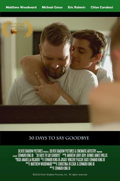 Poster do Filme 30 Days to Say Goodbye