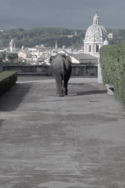 Poster do Filme Metodo dei Loci