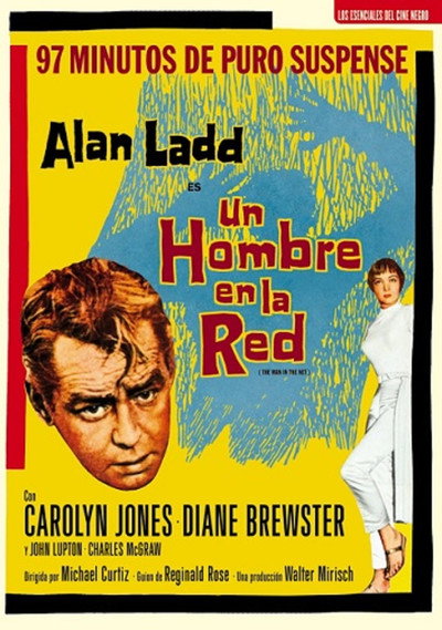 Un hombre en la red
