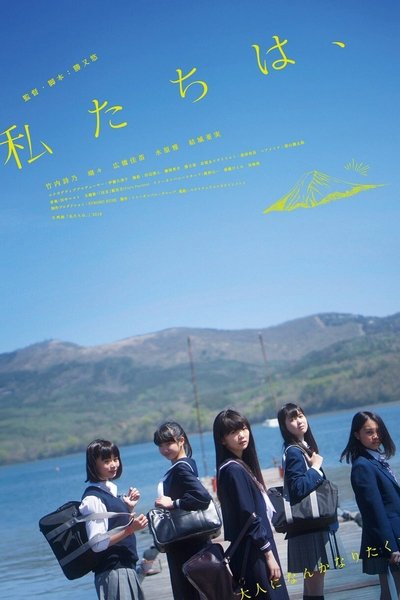 Poster do Filme 私たちは、