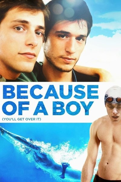 Poster for the movie Because of a Boy