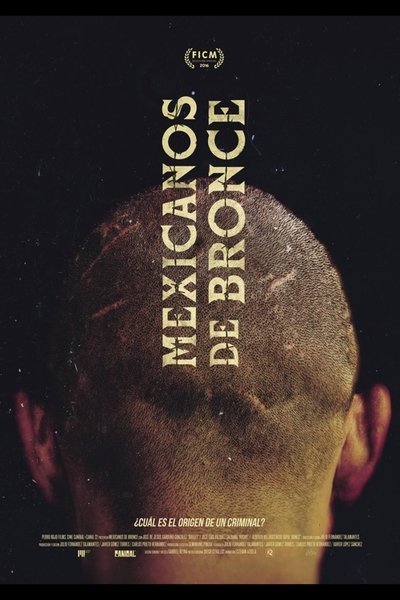 Poster for the movie Mexicanos de bronce
