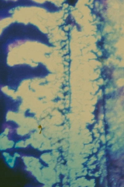 movie poster for Failures