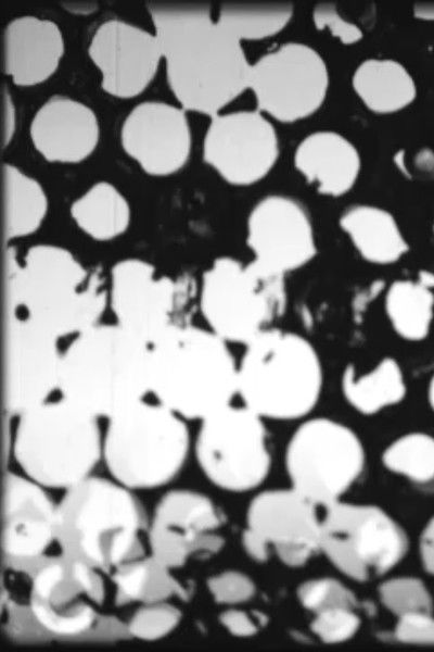 Poster do Filme Paraphernalia