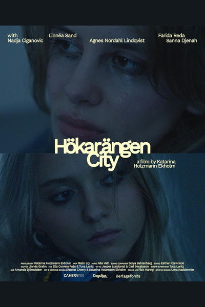 Poster do Filme Hökarängen City