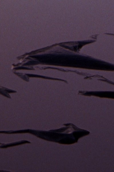 Poster do Filme Plastic Aortas
