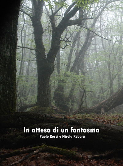 Poster do Filme In attesa di un fantasma
