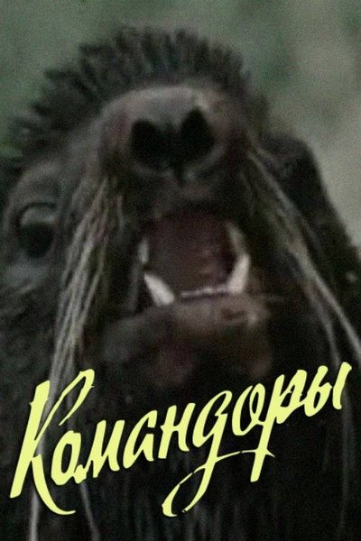Poster do Filme Командоры
