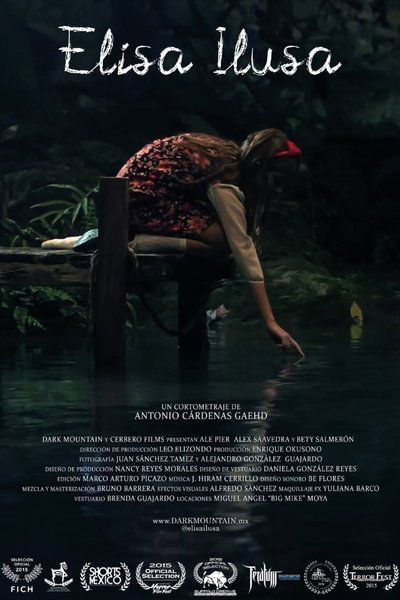 movie poster for Elisa Ilusa