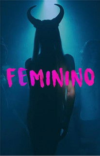 Poster do Filme Feminino