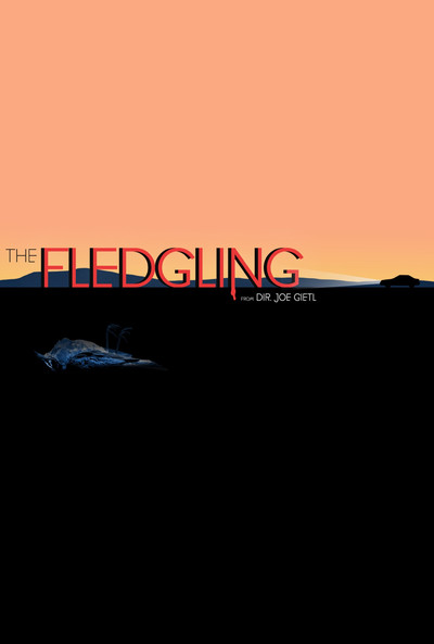 Poster do Filme The Fledgling