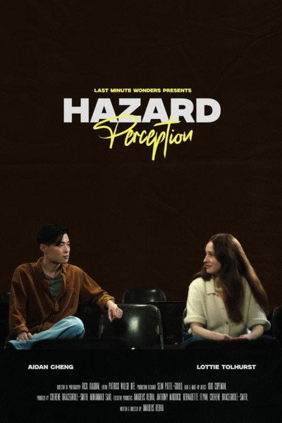 Hazard Perception
