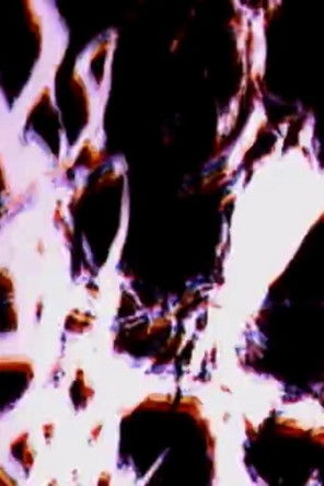 Poster do Filme Tasmanian Splintering