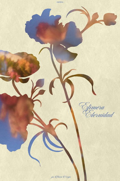 Poster do Filme Efímera Eternidad