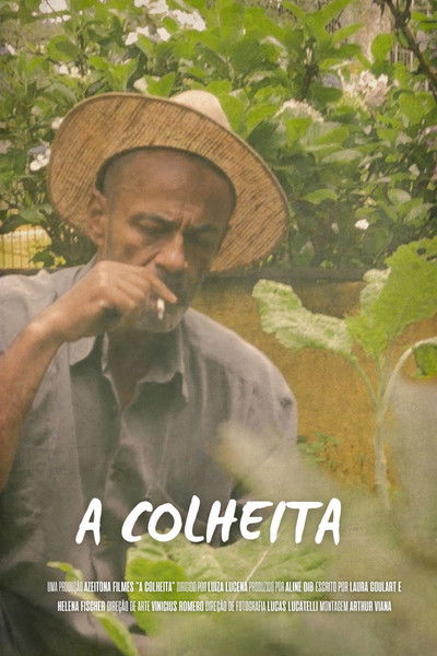 Poster do Filme A Colheita
