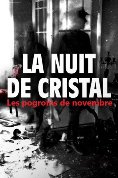 poster for La Nuit de cristal : Les pogroms de novembre