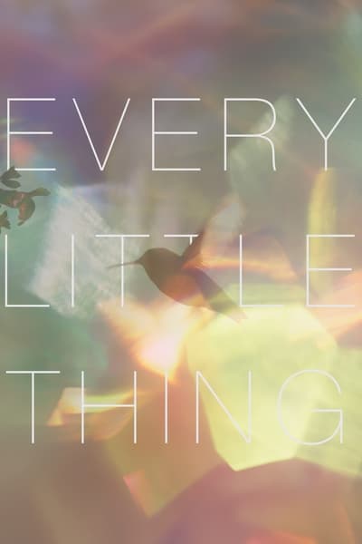 Poster for the movie Every Little Thing